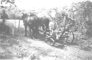 Horse-drawn mower