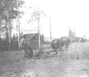 Harvest 1936