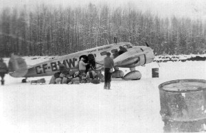 Plane and Dog Sled