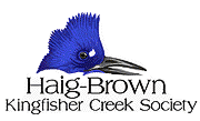 Kingfisher Creek Logo