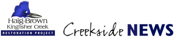 Haig-Brown Kingfisher Creek Restoration Project - Creekside News Logo