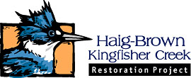 Haig-Brown Kingfisher Creek Restoration Project Logo