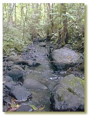 Haig-Brown
Kingfisher Creek