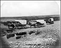 Three covered wagons from the United States in southern Alberta