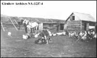Homestead of Zahara family, Ukrainian settlers of Rycroft, Alberta