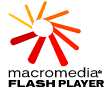 Free Download Flash Player 