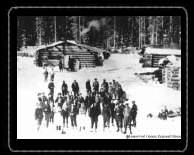 Logging camp (and a 'thirsty throng')