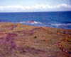 Red Island photo gallery image.  Clicking an image will open up a larger view in a new window.