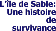 L'île de Sable: Une histoire de survivance