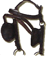 Bridle