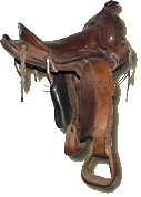 Saddle