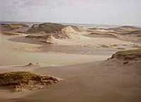 Dunes et étendue sablonneuse