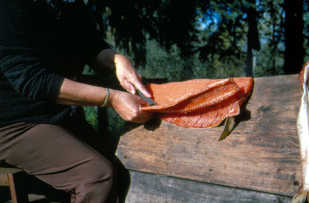 Filleting the salmon