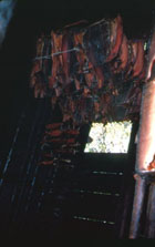Salmon drying in upper reaches of the smokehouse