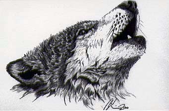 Chad Morin's artwork