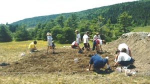 [Biologists at work]