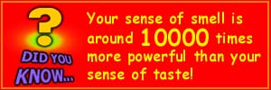 [Did you know... Your sense of smell is around 10000 times more powerful than your sense of taste!]