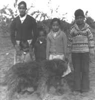 The Singh family on their farms in Kelowna, 1937.
Left to Right: Ajit Kaur Singh, Kartar, Harbhajan, Beant Kaur, Jeet and thier dog Lenny.