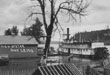 Sternwheeler in flooded area