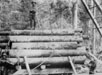 Workers posing at log pile