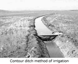 Contour ditch method of irrigation