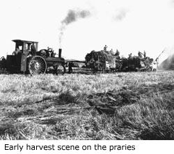 Early harvest scene on the praries