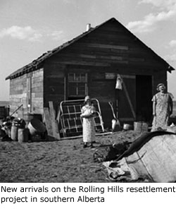 New arrivals on the Rolling Hills resettlement project in southern Alberta
