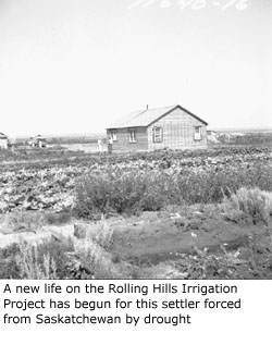 A new life on the Rolling Hills Irrigation Project has begun for this settler forced
from Saskatchewan by drought