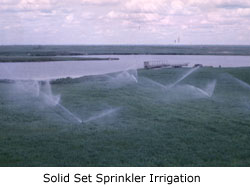 Solid Set Sprinkler Irrigation