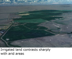 Irrigated land contrasts sharply with arid areas