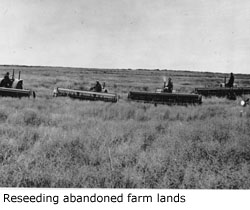 Reseeding abandoned farm lands