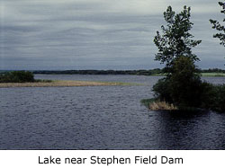 Lake near Stephen Field

Dam
