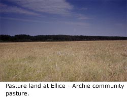 Pasture land at Ellice - Archie community pasture