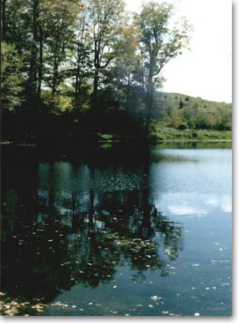 Bruce Trail