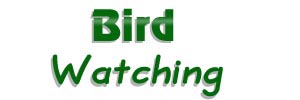 birds-intro-tb.jpg (6,225 bytes)