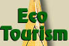 Eco-tourism Button