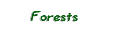 forest-tb.jpg (4849 bytes)