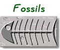 fossils_btn.jpg (10776 bytes)