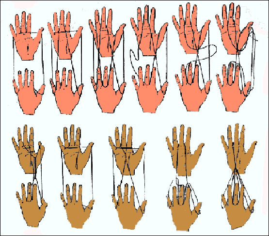 Cat cradle Diagram