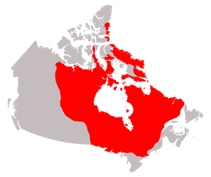 Image - The Canadian Shield