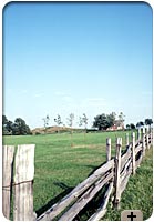 Photo - Rural fenceline