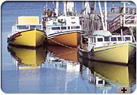 Photo - Fishing boats, Nova Scotia