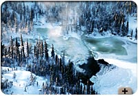 Photo - Winter forest, Yellowknife, N.W.T.