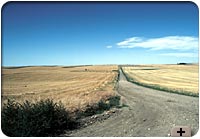 Photo - Country road, Saskatchewan