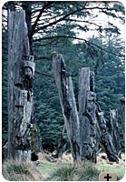 Photo - Old totem poles, Queen Charlotte Islands, B.C.