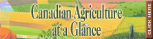 Canadian Agriculture at a glance