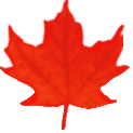 Maple Leaf