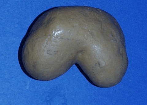 Curved tuber