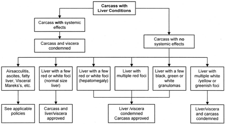Organization chart - Approval or condemnation of fowl carcasses with liver lesions