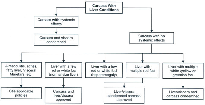 Decision Tree - Carcass With Liver Conditions
